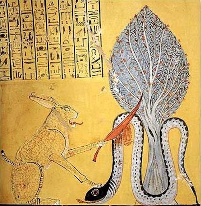 Brooklyn Papyrus Reveals Ancient Egypt Had Far More Venomous Snakes Than The Country Today