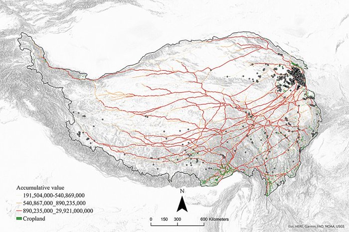 How Did Ancient Societies Form Social Bonds And Cultural Idenтιтies Across The Tibetan Plateau?