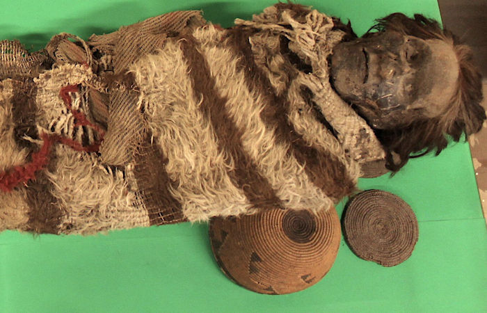 DNA Taken From Ancient Mummies Shed Light On South American Ancestry