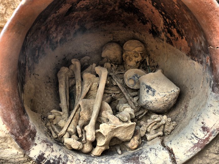 Female (right) and male (left) individuals of burial 38 of the settlement of La Almoloya (Pliego, Murcia). This is one of the richest burials found in an El Argar settlement. Credit: ©ASOME-UAB