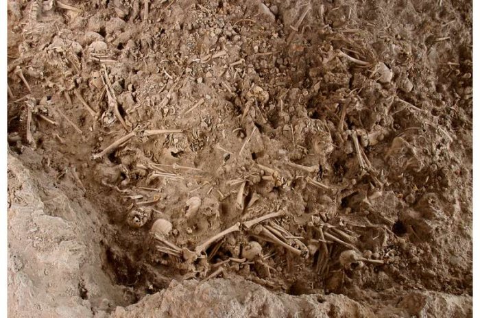 Copper Age collective burial of Camino del Molino (Caravaca de la Cruz, Murcia), where a total of ~1300 individuals were buried between 2900-2300 BCE. The image shows the last burial layer, dated between 2500-2300 BCE, from which six individuals have been analysed. Credit: Universidad de Murcia. Fotografía de Francisco Ramos