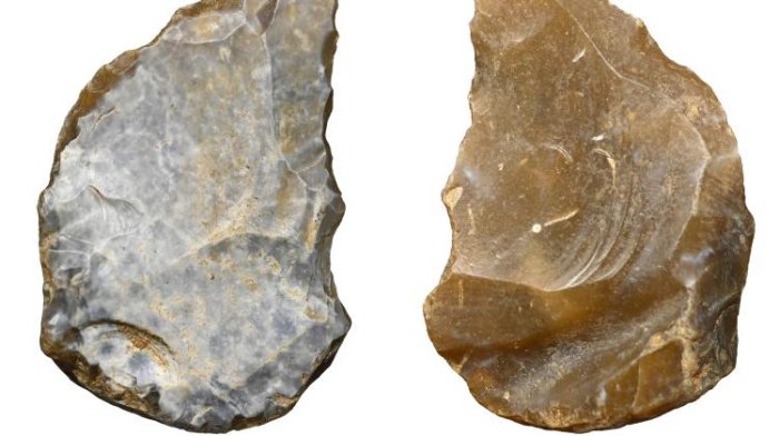 Unexpected Discovery 130,000-Year-Old Neanderthal Stone Tools Discovered In Poland