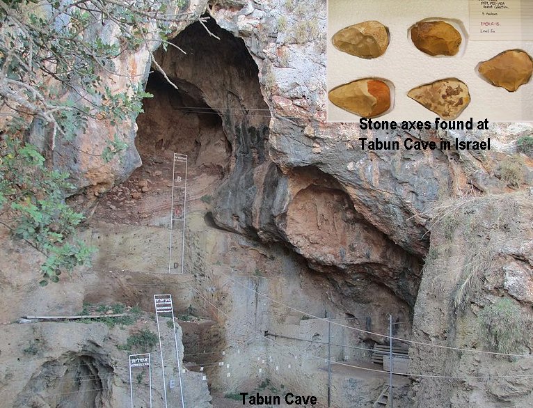 Oldest-Known Grinding Tool Used 350,000 Years ago Was found In Tabun Cave, Israel