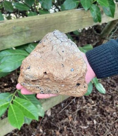 Evidence Of Millennia-Old Textile Manufacture And Rare Ancient Eagle-Bone Pin Discovered In Oxfordshire