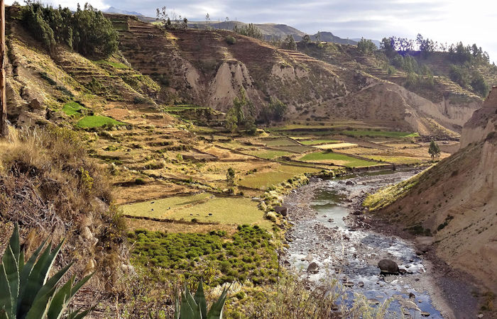 Climate In The Andes Has Driven 7,000 Years Of Dietary Changes - New Study Reveals