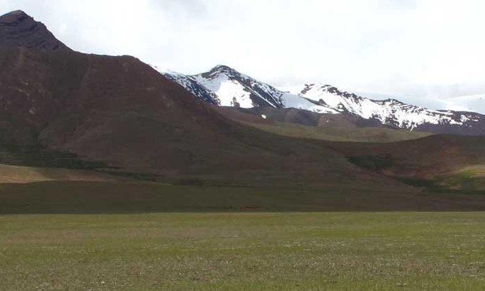 Tibetan Plateau where the research was conducted. Credit: Peiqi Zhang/UC Davis