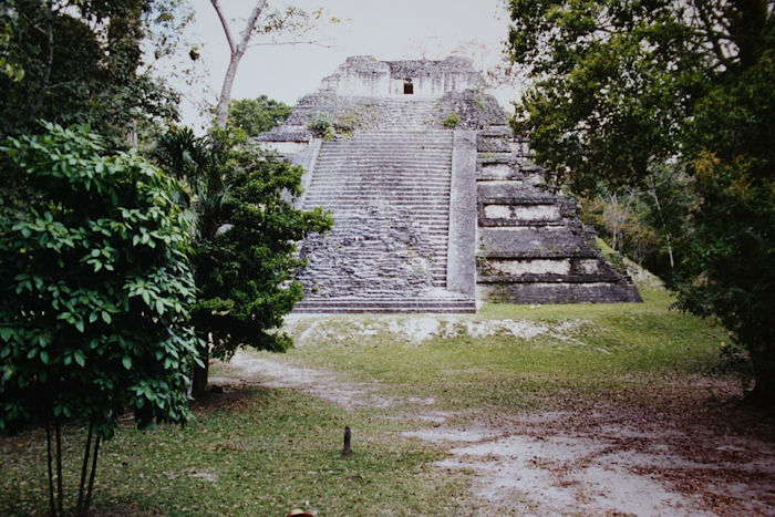 Hidden Ancient Citadel In The Mayan City Of Tikal Discovered By LIDAR