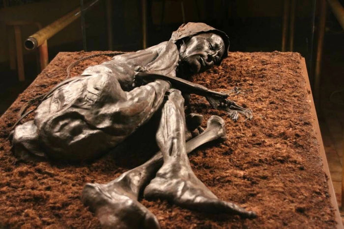 1,000 Bog Bodies From Across Scandinavia Reveal More Ancient Secrets - Here's What Scientists Found