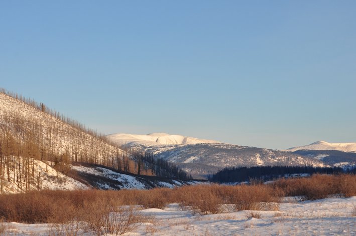 Is The Tomb Of Genghis Khan Hidden And Protected In The Khentii Mountains Because Some Fear It’s Cursed?