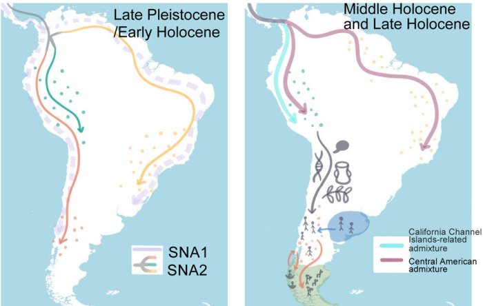 Tracing Chile's Indigenous Roots Through Genetics And Linguistics