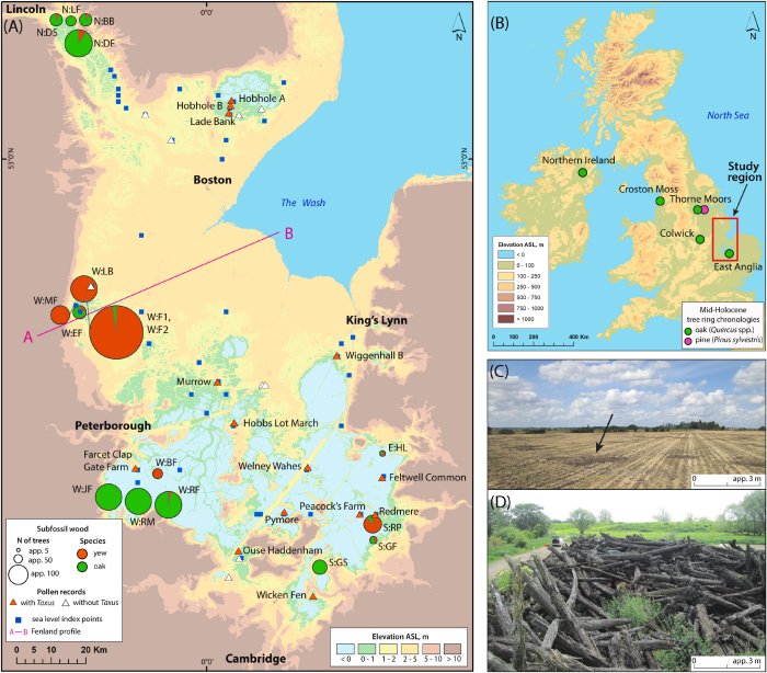 Mysterious History Of Fenland: The UK's Possible Link To A Megadrought That Led To The Collapse Of Civilisations Around The World