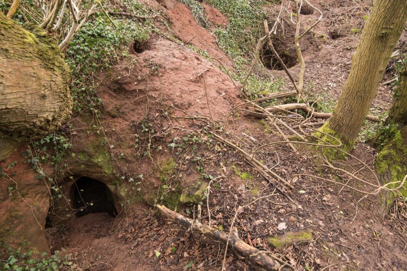 Knights Templar's Mysterious Underground Chambers Hidden In The Caynton Caves Discovered