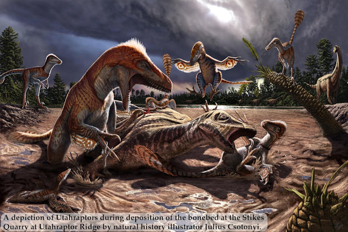 Evidence Utahraptor, World's Largest Dinosaur Lived Millions Of Years Earlier Than Previously Thought