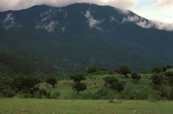 Ancient Mexican City Endured For Centuries Without Extremes In Wealth And Power