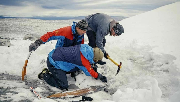 Incredibly Well-Preserved Viking Age Ski Discovered Under Melting Ice 