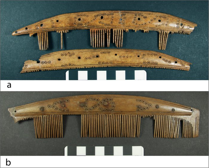  Vikings' Long Distance Trade Reached The Arctic - Deer Antler Combs Reveal