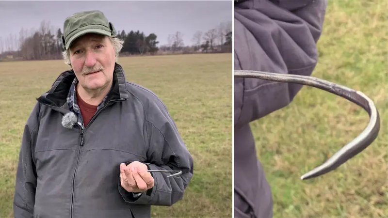 Silver Needle Dismissed As Trash Was A Part Of A Stunning Viking Treasure Found By Farmer On Gotland