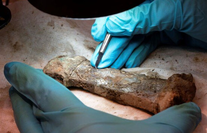 Unique Sword Casts New light On Viking Voyages Across The North Sea