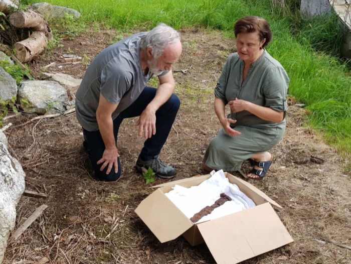 Man Finds An Viking Sword In His Garden - A Viking Grave Could Also Be Near The Area - Scientists Say