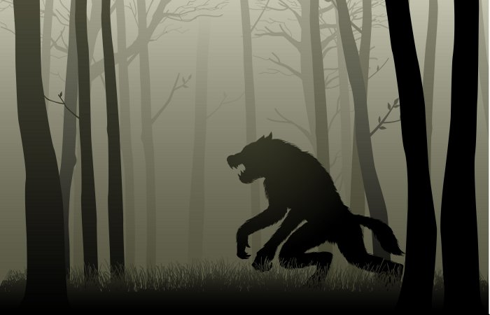 Werewolf In dark woods