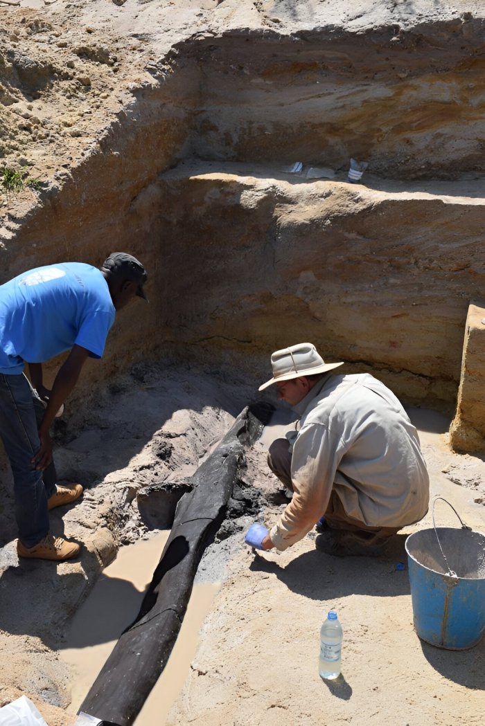 World's Oldest Woden Structure Discovered And It Predates Homo Sapiens - Archaeologists Say