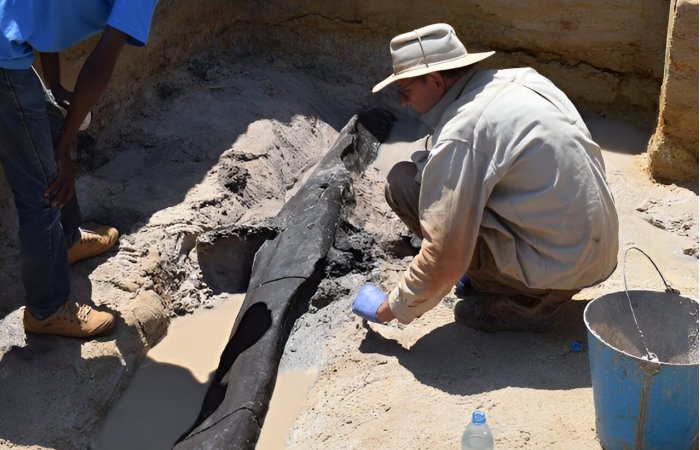 World's Oldest wooden Structure Discovered And It Predates Homo Sapiens - Archaeologists Say