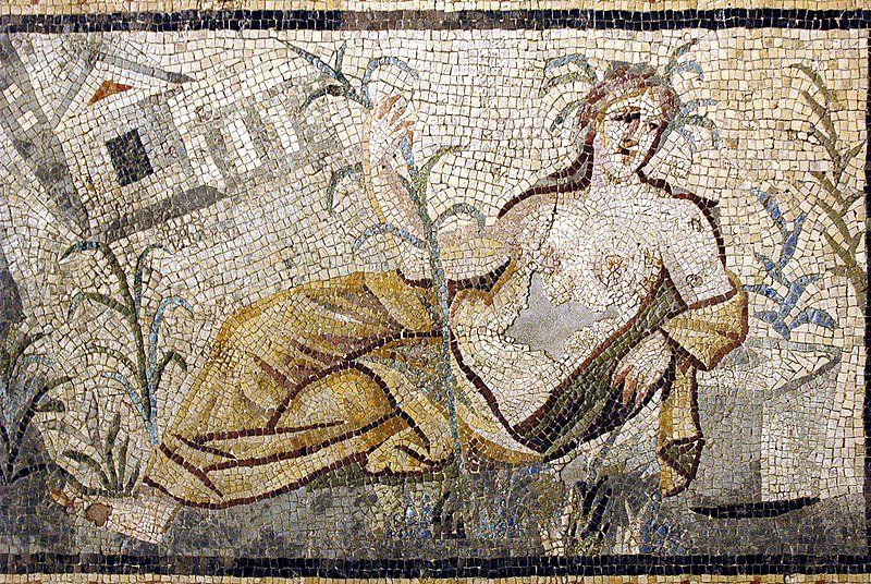  Gaziantep Zeugma Museum Water gods mosaic